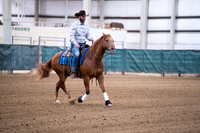Friday 17 South - Ranch Reining draw 21-end