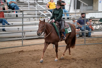 Friday 22-23 South- Amateur Working Western